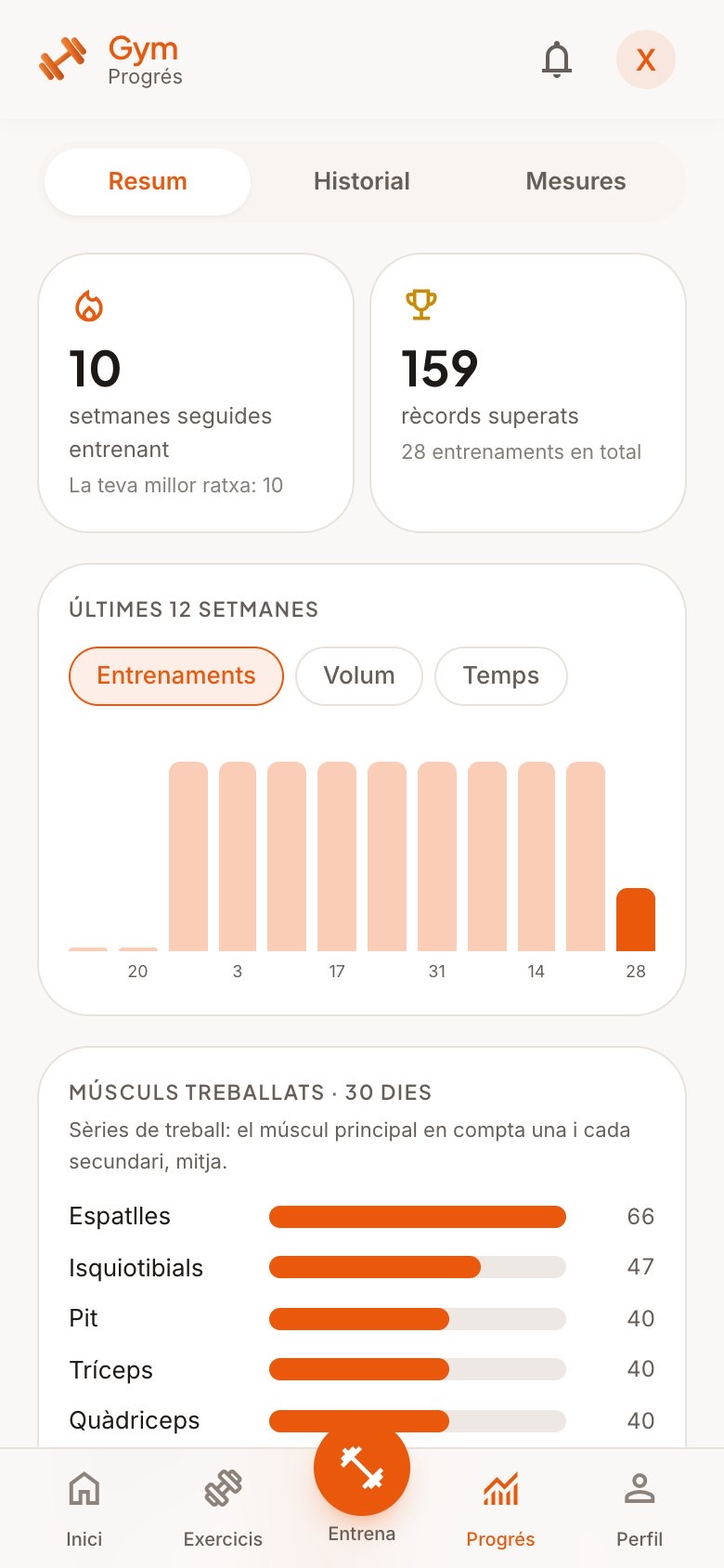 Resum del progrés
